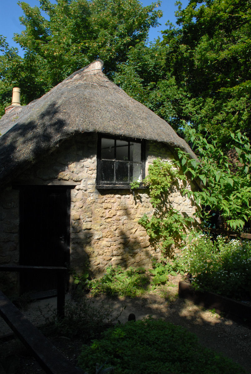 Portrait in natural window light
