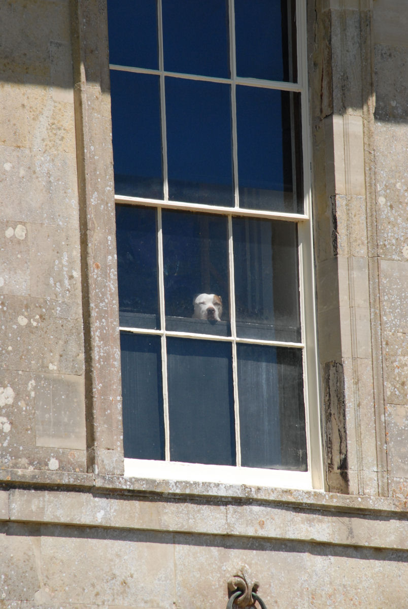 Evening street scene after rain
