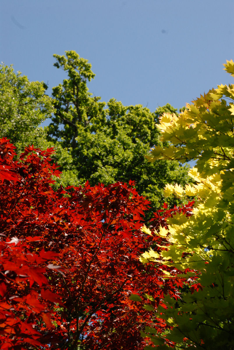 Morning light over the valley